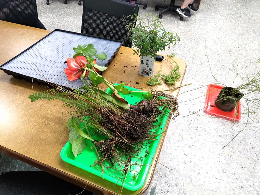 LINE_ALBUM_20240410薄層綠屋頂實作_240411_33